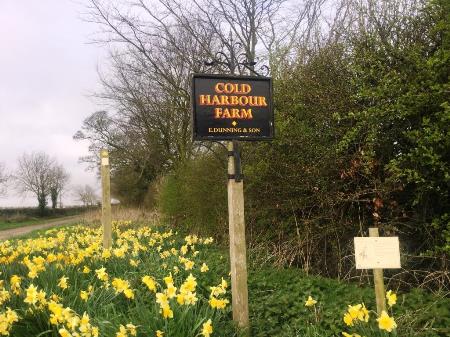 Cold Harbour Farm